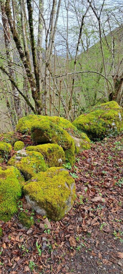 Casa Rural El Puente De Agues Soto De Agues Kültér fotó